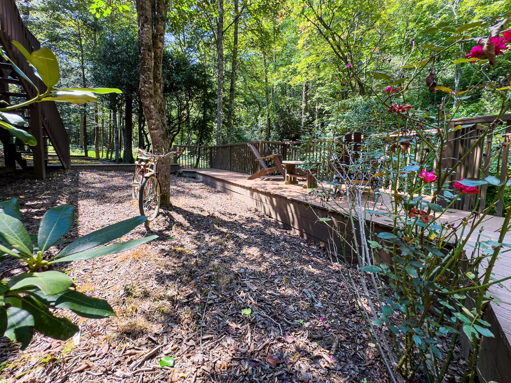 277 Virginia Lane Murphy, NC 28906 - Photo 40 of 63 a view of a yard with plants and large trees