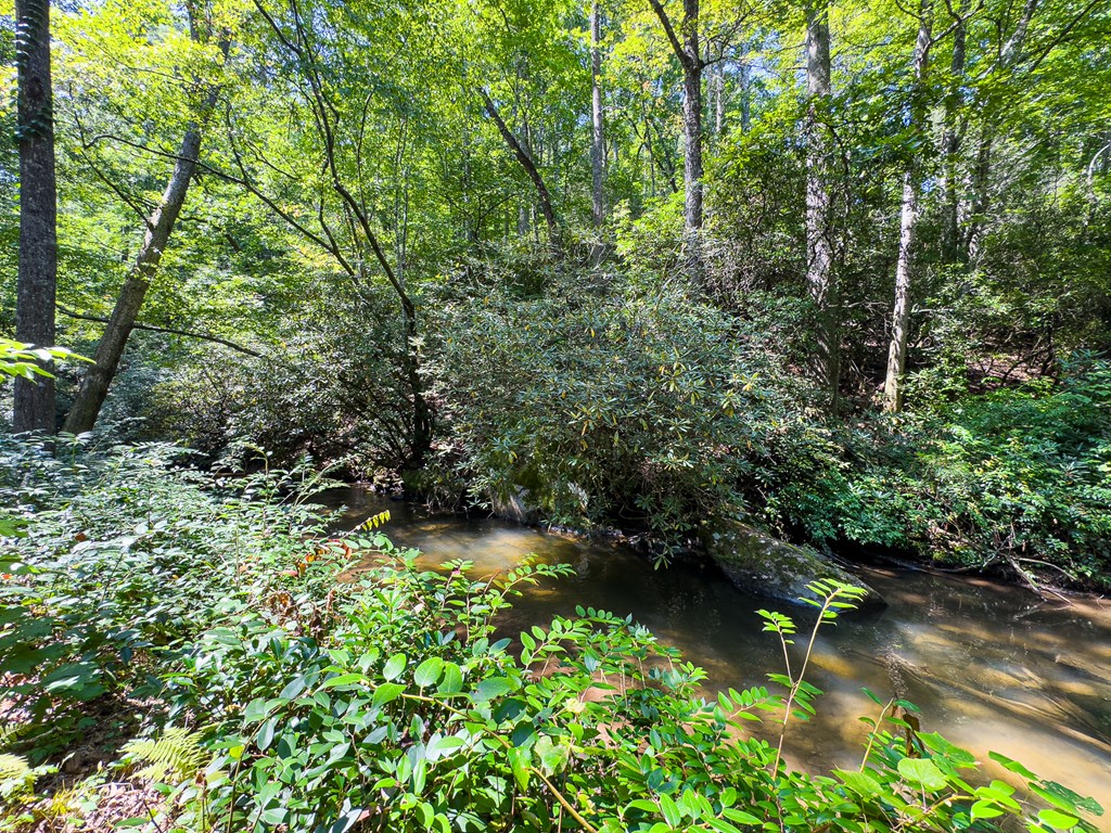 277 Virginia Lane Murphy, NC 28906 - Photo 47 of 63