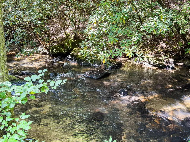 a view of a living room and a window