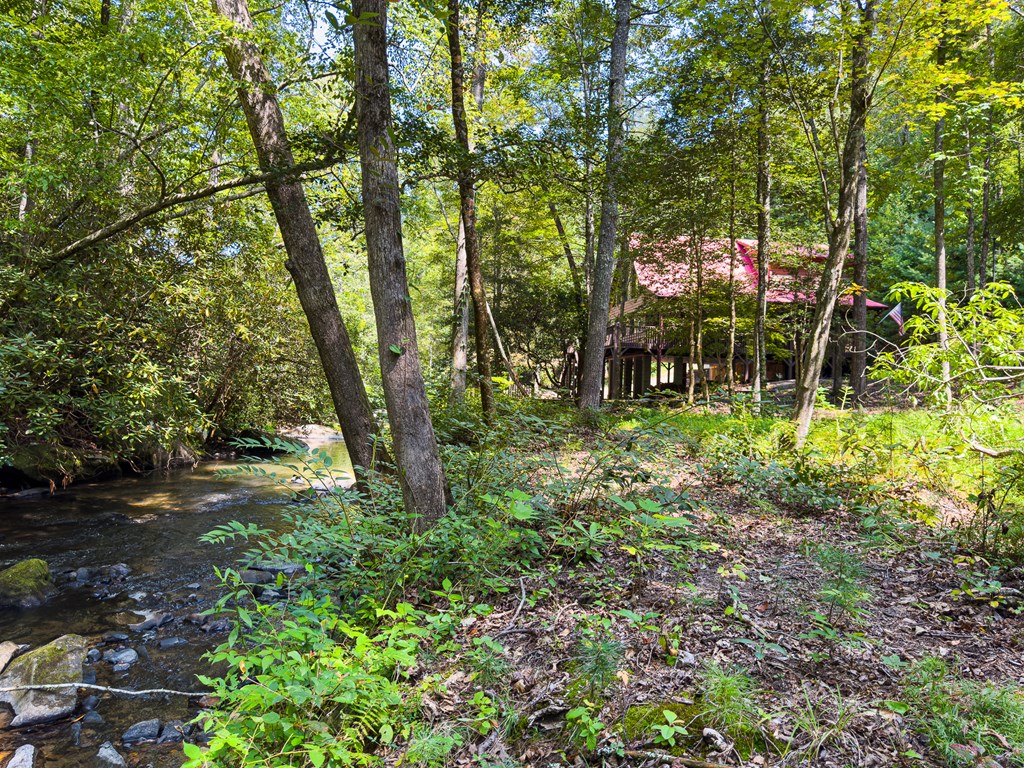 277 Virginia Lane Murphy, NC 28906 - Photo 49 of 63 a view of outdoor space