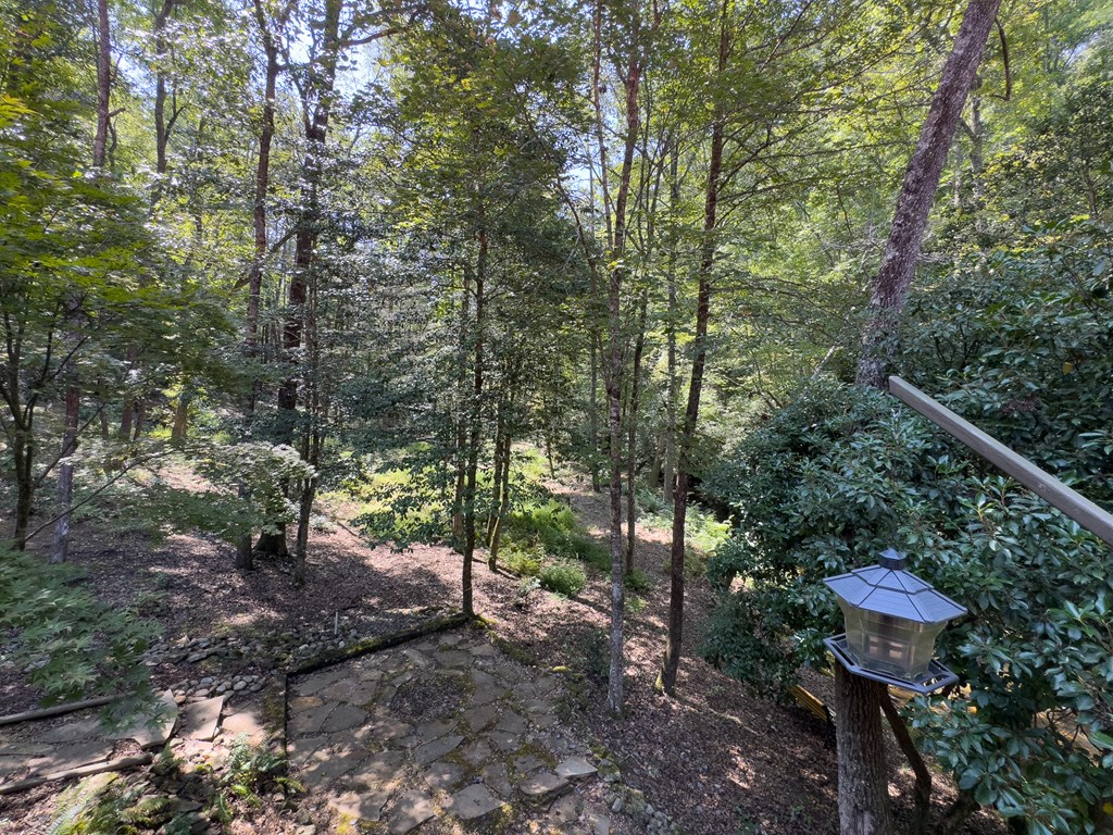 277 Virginia Lane Murphy, NC 28906 - Photo 61 of 63 a view of an outdoor space and a street view