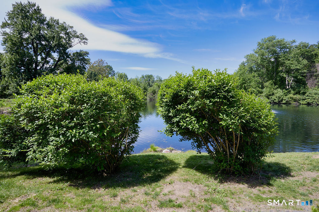 6 Hollyberry Lane, Unit 6 Ridgefield, CT 06877 - Photo 19 of 31