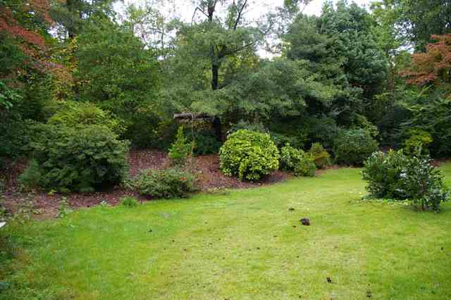 317 Hillandale Road Seneca, SC 29672 - Photo 20 of 22 Gallery Image 20