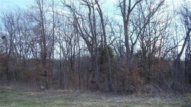 $4,000 | Kite Road, Odessa, MO 64076