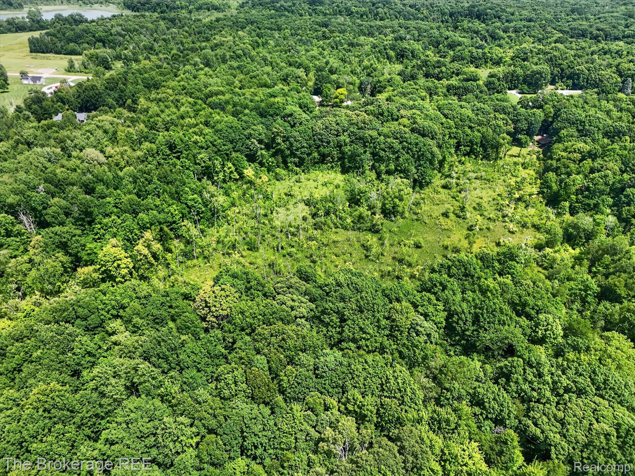 13269 North Genesee Road Clio, MI 48420 - Photo 59 of 67 Expansive wooded acreage featuring diverse tree coverage and partially cleared areas
