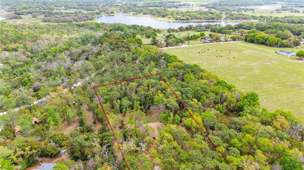 17055 Sweetwater Road Dade City, FL 33523 - Photo 11 of 53