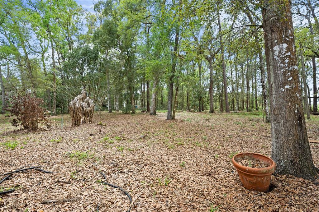 17055 Sweetwater Road Dade City, FL 33523 - Photo 48 of 53 a bathroom with a toilet and a shower