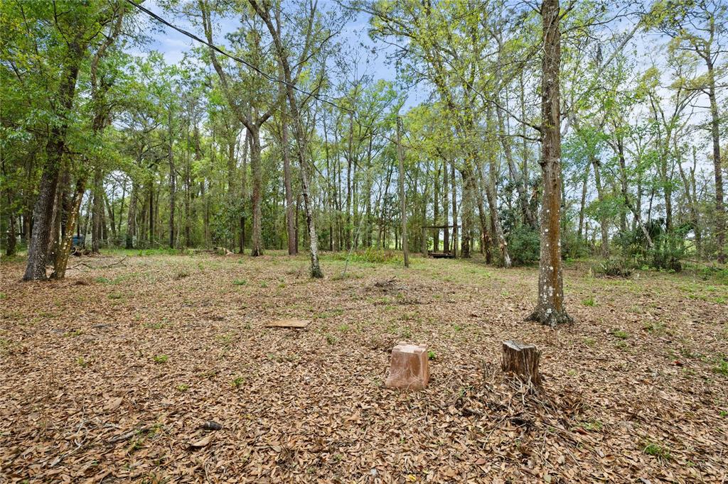 17055 Sweetwater Road Dade City, FL 33523 - Photo 49 of 53 a backyard of a house with lots of green space
