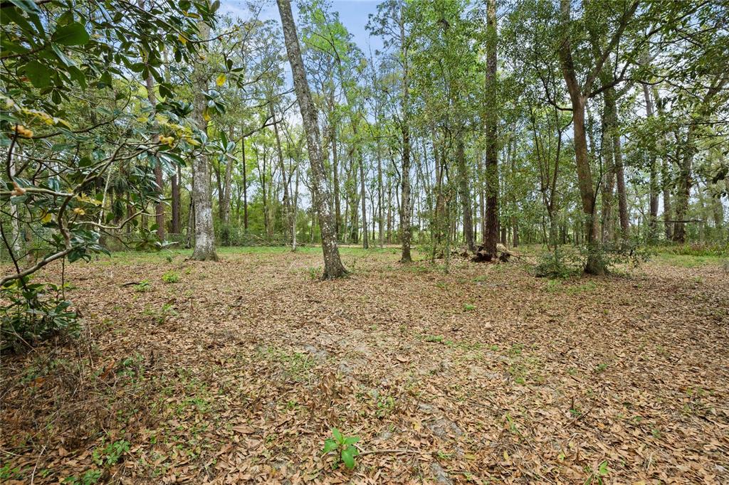 17055 Sweetwater Road Dade City, FL 33523 - Photo 5 of 53