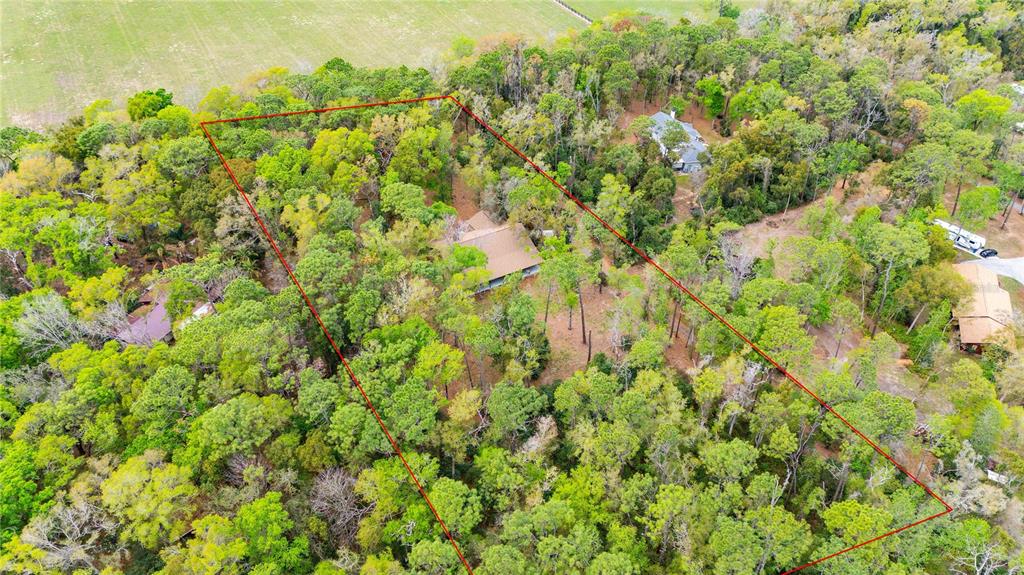 17055 Sweetwater Road Dade City, FL 33523 - Photo 52 of 53