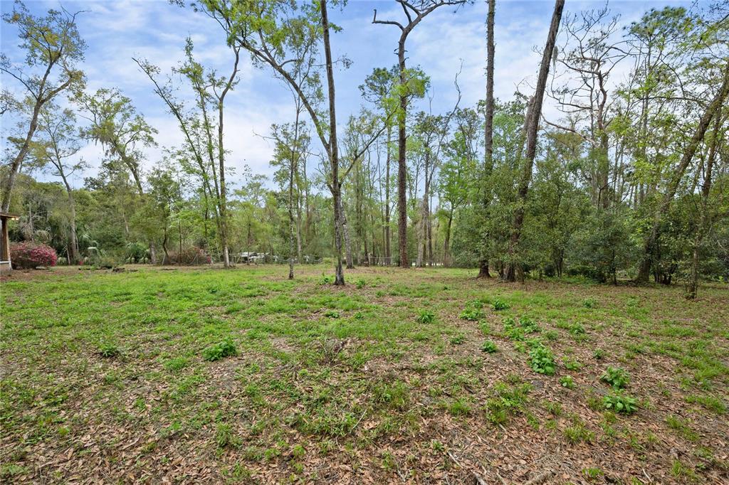 17055 Sweetwater Road Dade City, FL 33523 - Photo 10 of 53 a view of outdoor space with trees all around