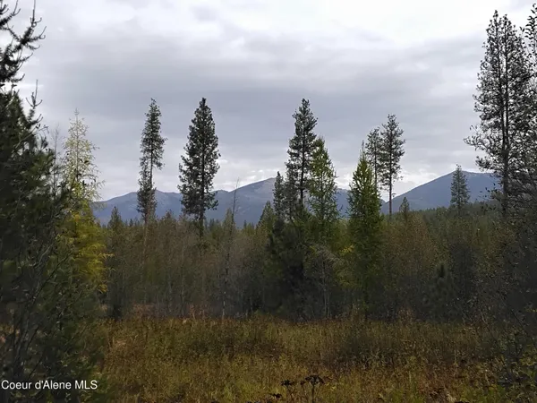 $2,350,000 | 2 Moyie Springs, Moyie Springs, ID 83845