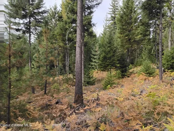 $2,350,000 | 2 Moyie Springs, Moyie Springs, ID 83845