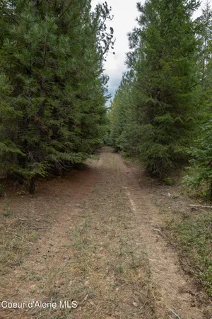 $2,350,000 | 2 Moyie Springs, Moyie Springs, ID 83845