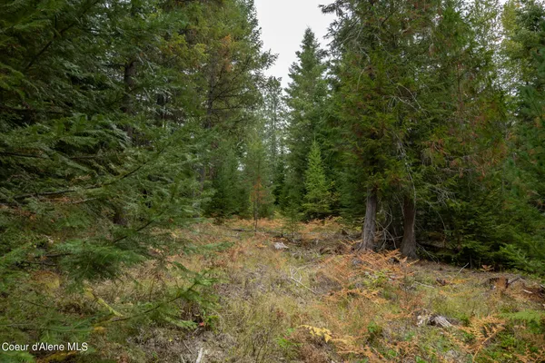 $2,350,000 | 2 Moyie Springs, Moyie Springs, ID 83845