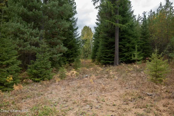 $2,350,000 | 2 Moyie Springs, Moyie Springs, ID 83845