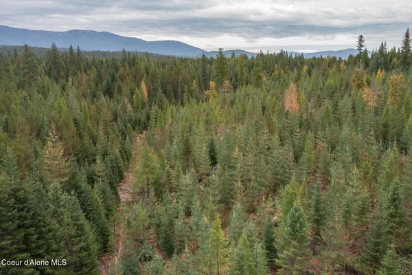 $2,350,000 | 2 Moyie Springs, Moyie Springs, ID 83845