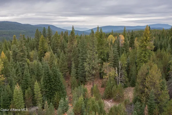 $2,350,000 | 2 Moyie Springs, Moyie Springs, ID 83845