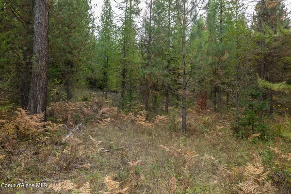 $2,350,000 | 2 Moyie Springs, Moyie Springs, ID 83845