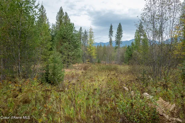 $2,350,000 | 2 Moyie Springs, Moyie Springs, ID 83845