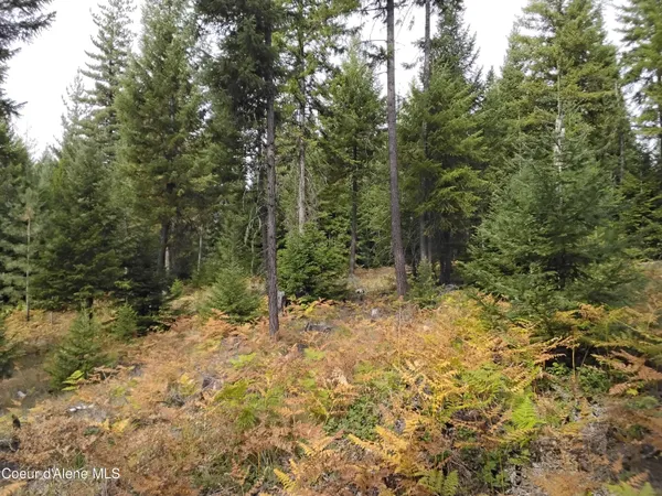 $2,350,000 | 2 Moyie Springs, Moyie Springs, ID 83845