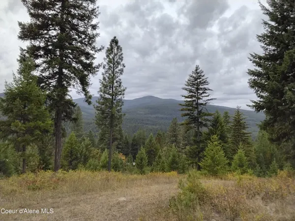 $2,350,000 | 2 Moyie Springs, Moyie Springs, ID 83845