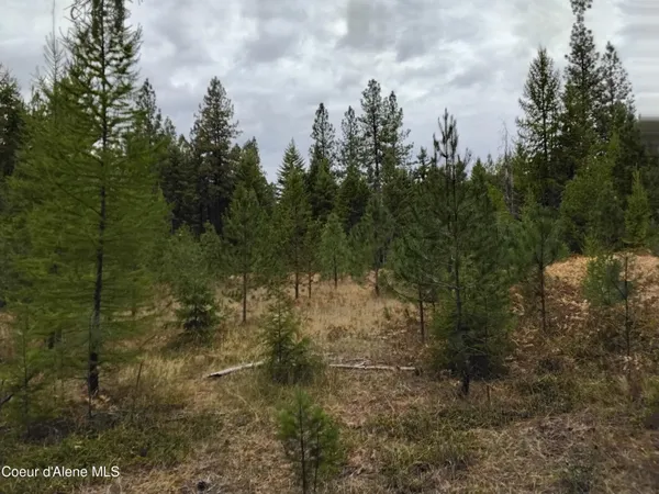 $2,350,000 | 2 Moyie Springs, Moyie Springs, ID 83845