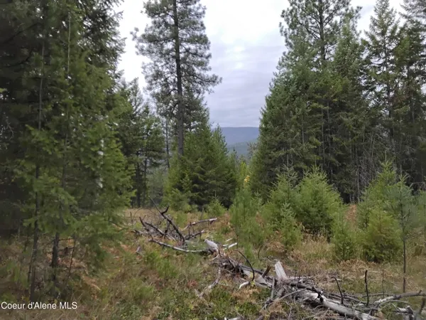 $2,350,000 | 2 Moyie Springs, Moyie Springs, ID 83845