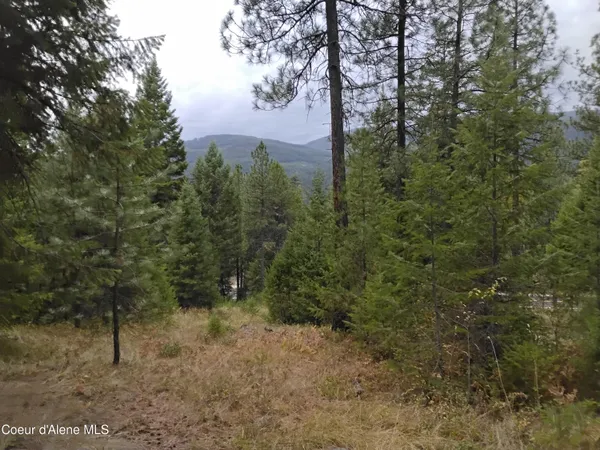 $2,350,000 | 2 Moyie Springs, Moyie Springs, ID 83845