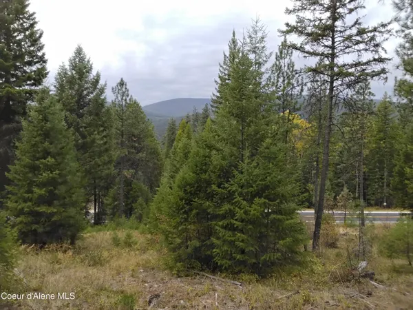 $2,350,000 | 2 Moyie Springs, Moyie Springs, ID 83845