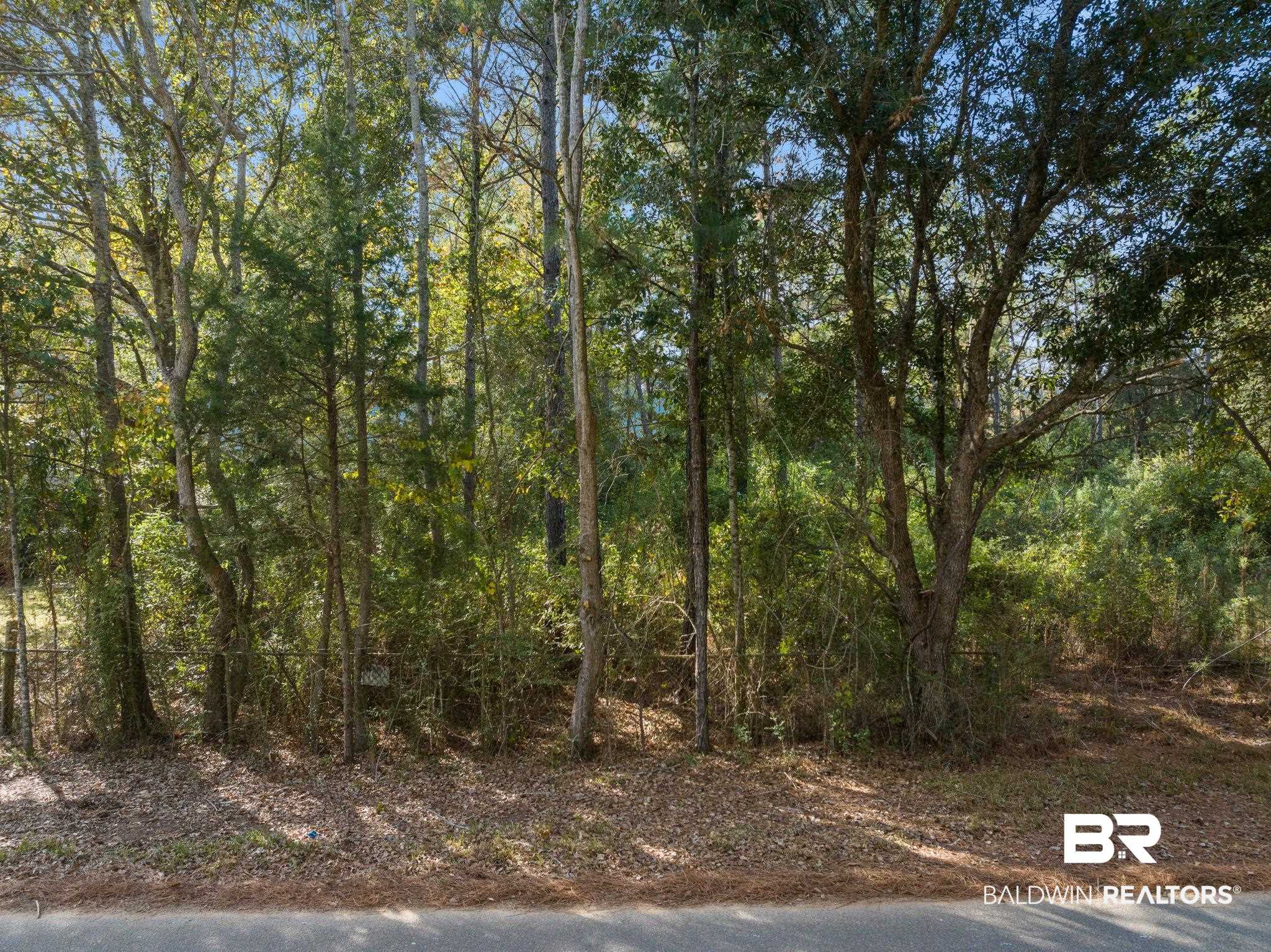 35741 Pine Road North Stapleton, AL 36578 - Photo 9 of 11