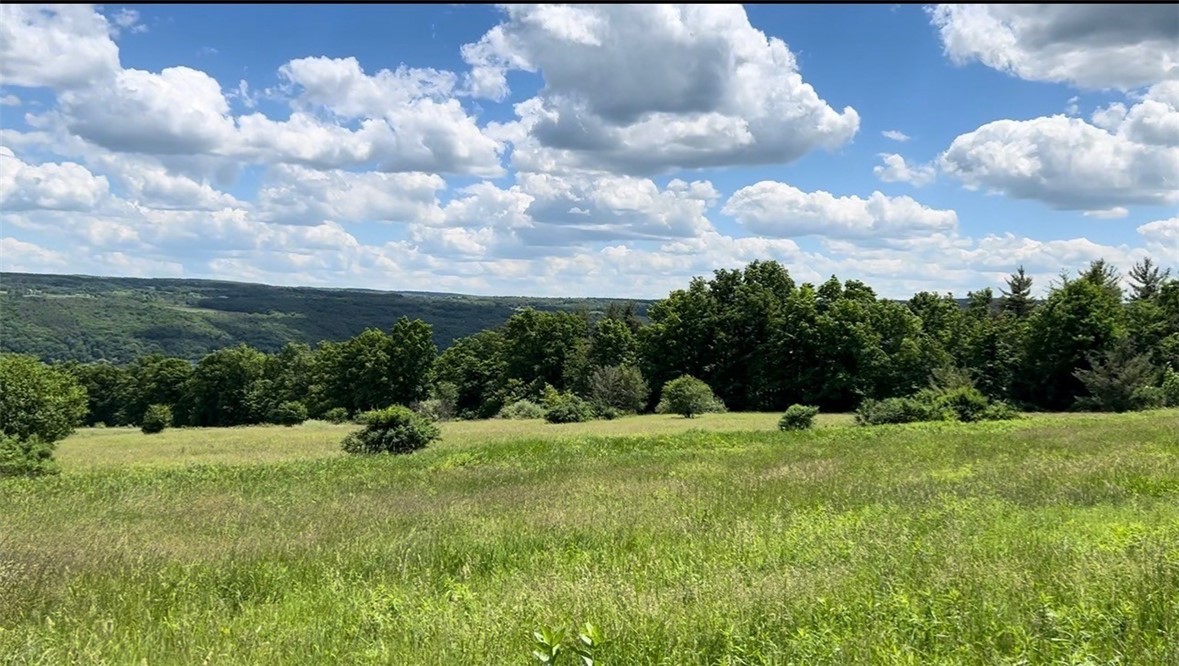0 Middle Road Hammondsport, NY 14840 - Photo 4 of 20