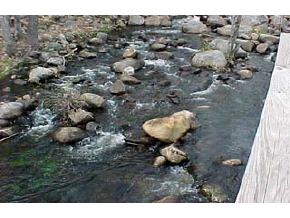 296 Cooper Road Hebron, NH 03241 - Photo 5 of 5 Gallery Image 5
