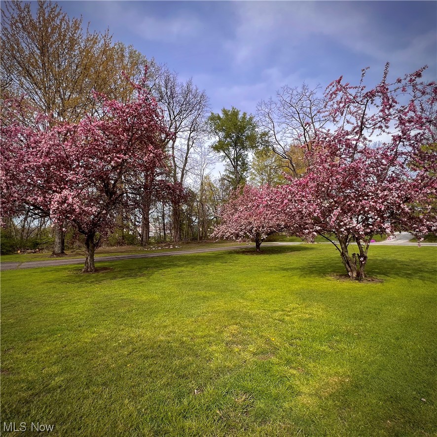 8911 Nichols Road Windham, OH 44288 - Photo 5 of 23 Gallery Image 5