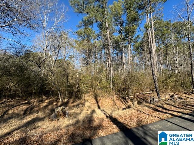 437 Hall Burton Road, Unit 1 Sumiton, AL 35148 - Photo 2 of 6