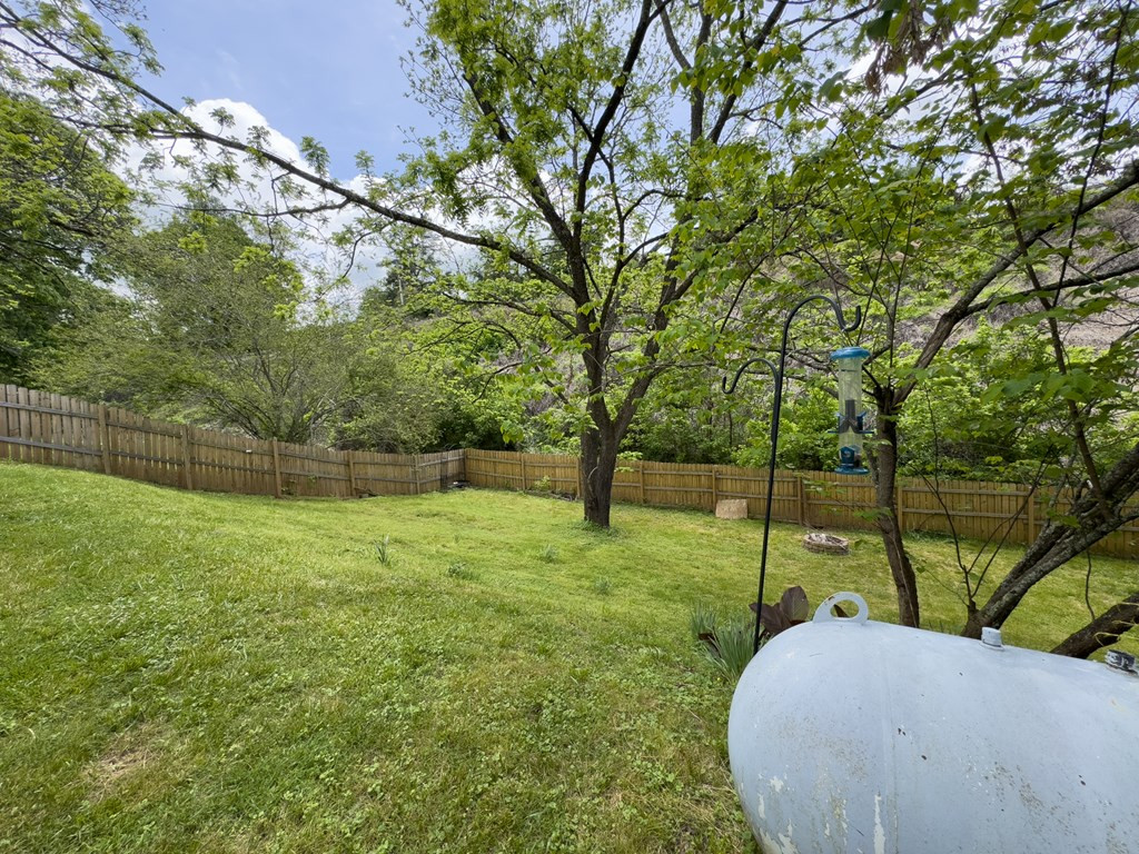 254 Cherry Street Murphy, NC 28906 - Photo 52 of 56 Gallery Image 52