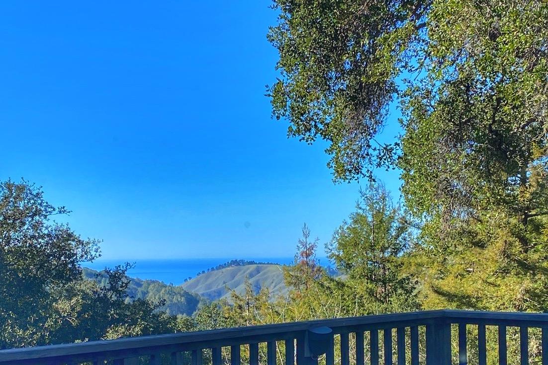 37763 Palo Colorado Road Carmel, CA 93923 - Photo 2 of 32 a view of a yard with a tree