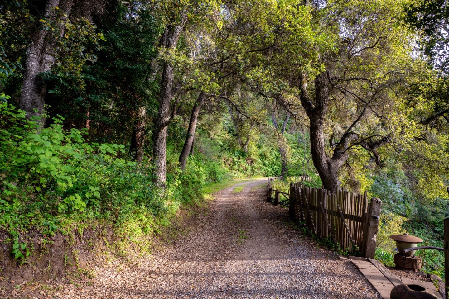 37763 Palo Colorado Road Carmel, CA 93923 - Photo 31 of 32 a view of a road with plants and large trees