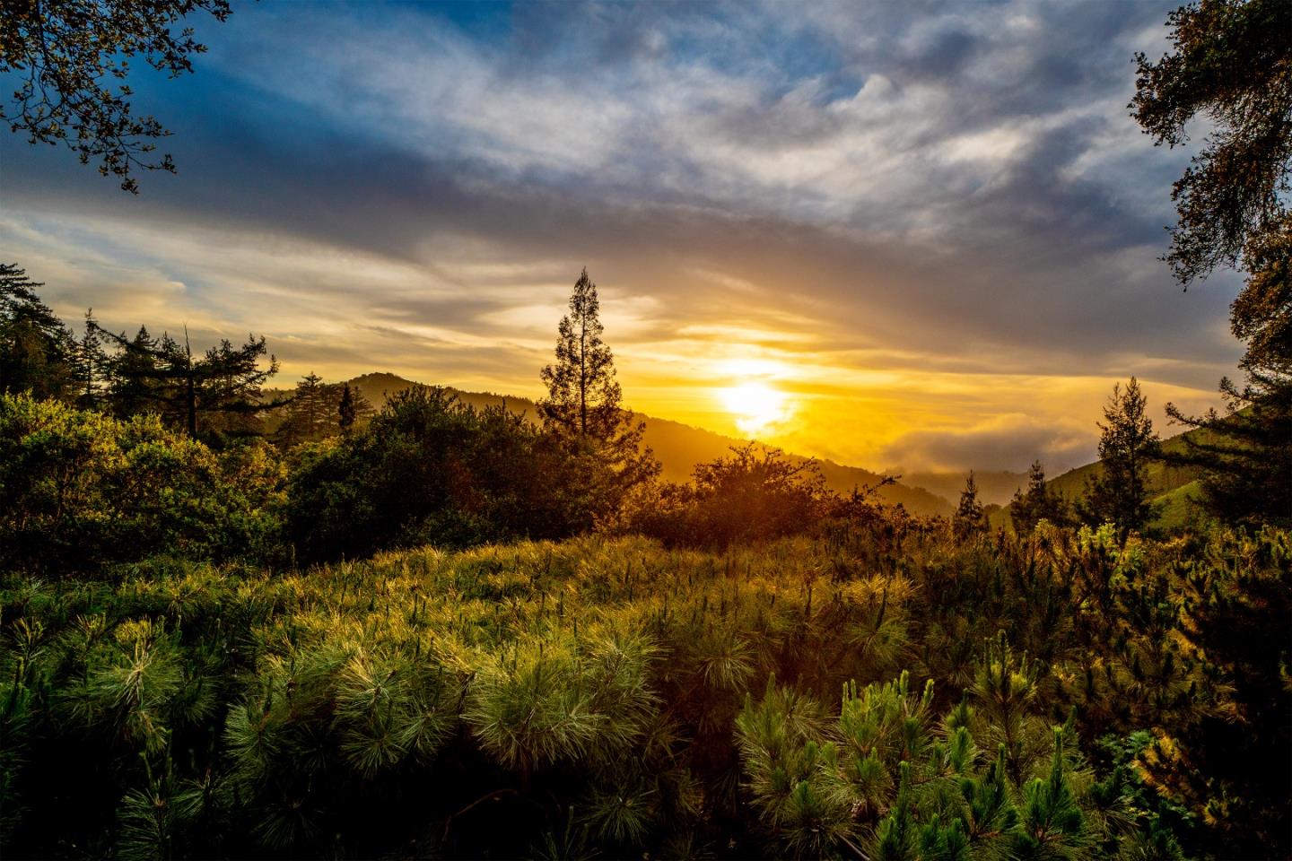 37763 Palo Colorado Road Carmel, CA 93923 - Photo 32 of 32 a view of sunset