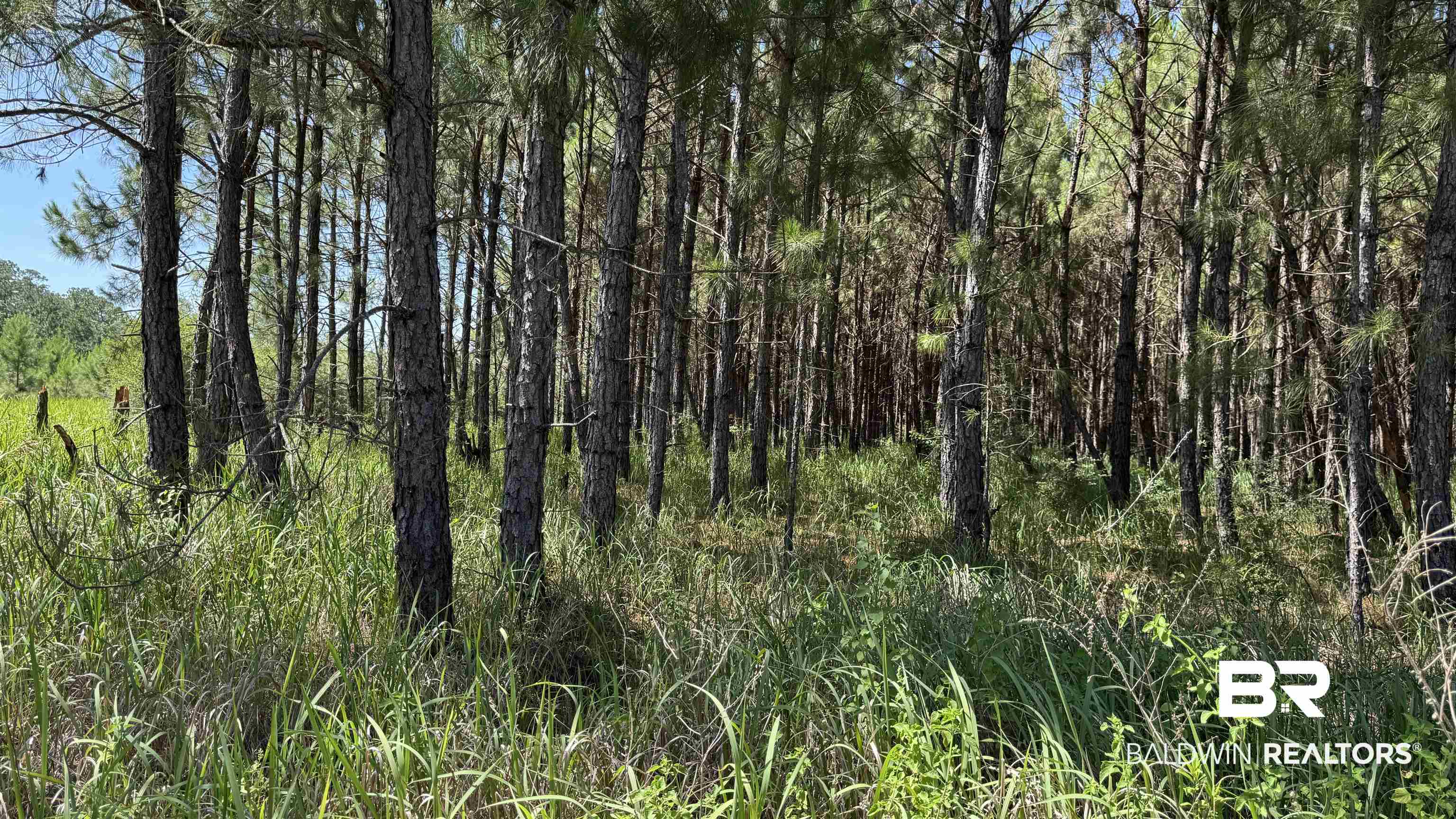 0 County Road 87 Elberta, AL 36530 - Photo 32 of 46