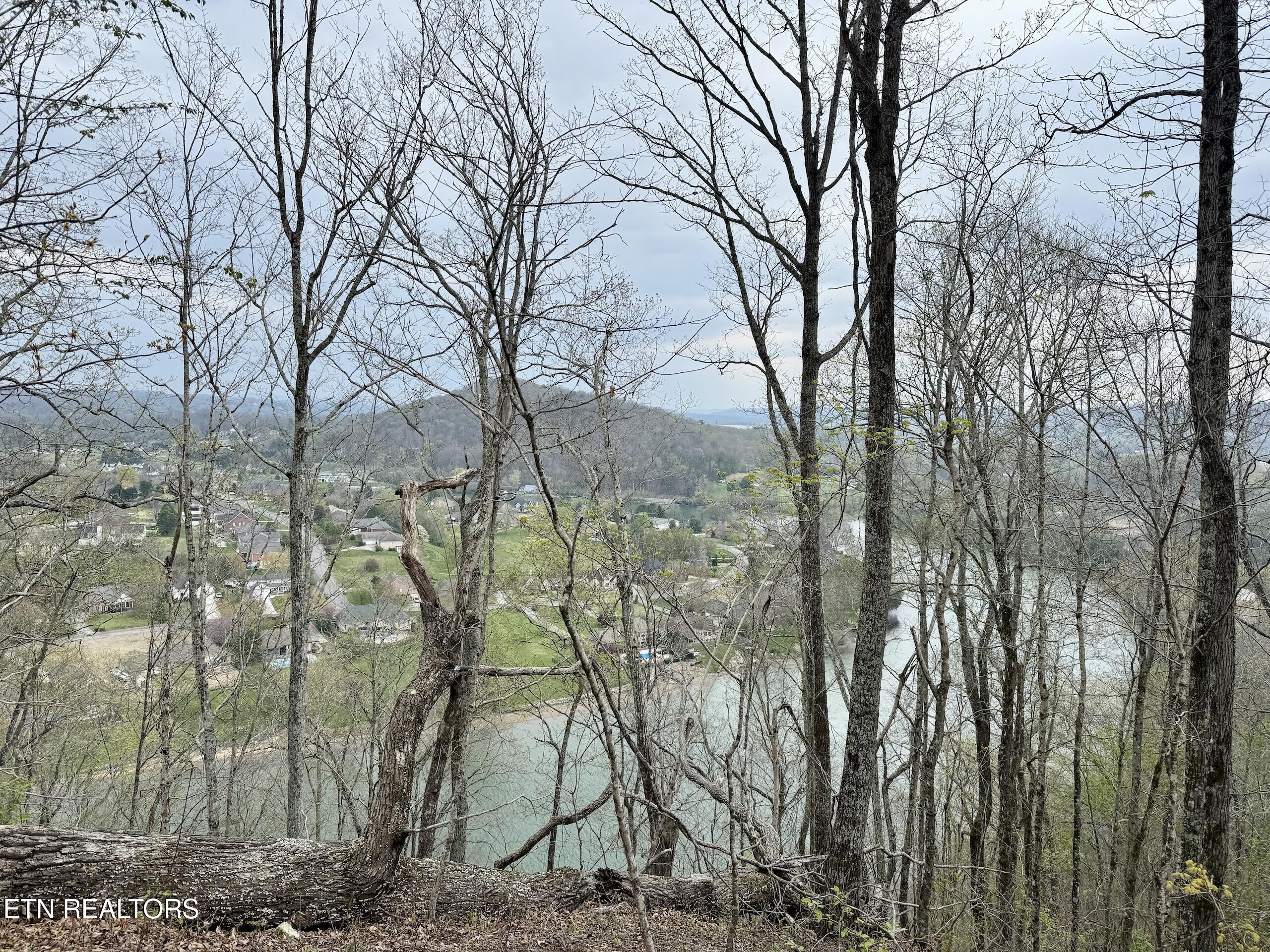 Ridgeview Drive Clinton, TN 37716 - Photo 5 of 15 2-5