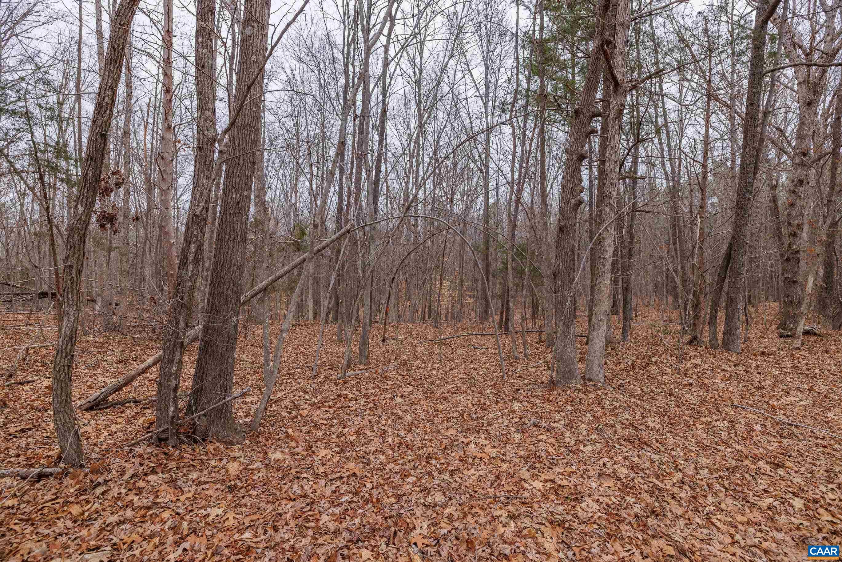 Lot 3 Piney Green Road Rice, VA 23966 - Photo 26 of 32 Gallery Image 26