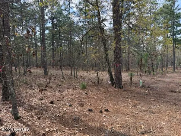 $600,000 | 27 Birkdale Way, Pinehurst, NC 28374