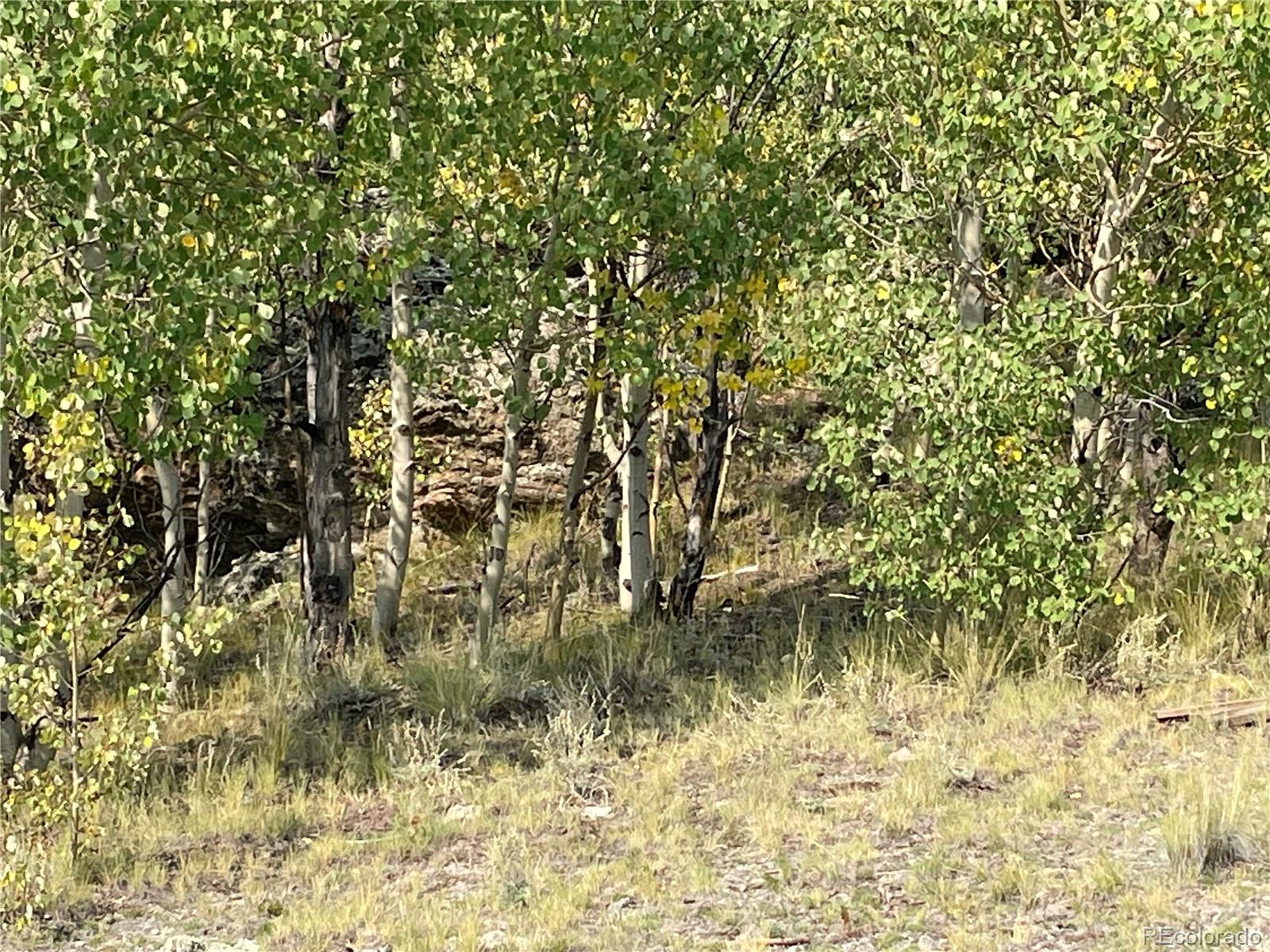 21 Capbox Way Como, CO 80456 - Photo 12 of 25 Gallery Image 12
