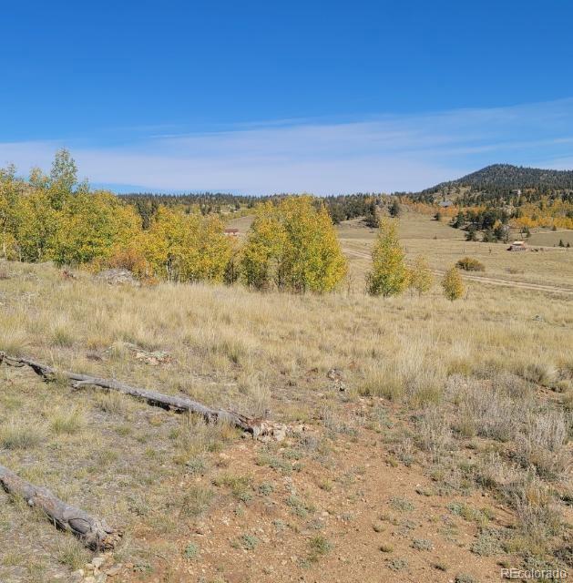 21 Capbox Way Como, CO 80456 - Photo 19 of 25 Gallery Image 19