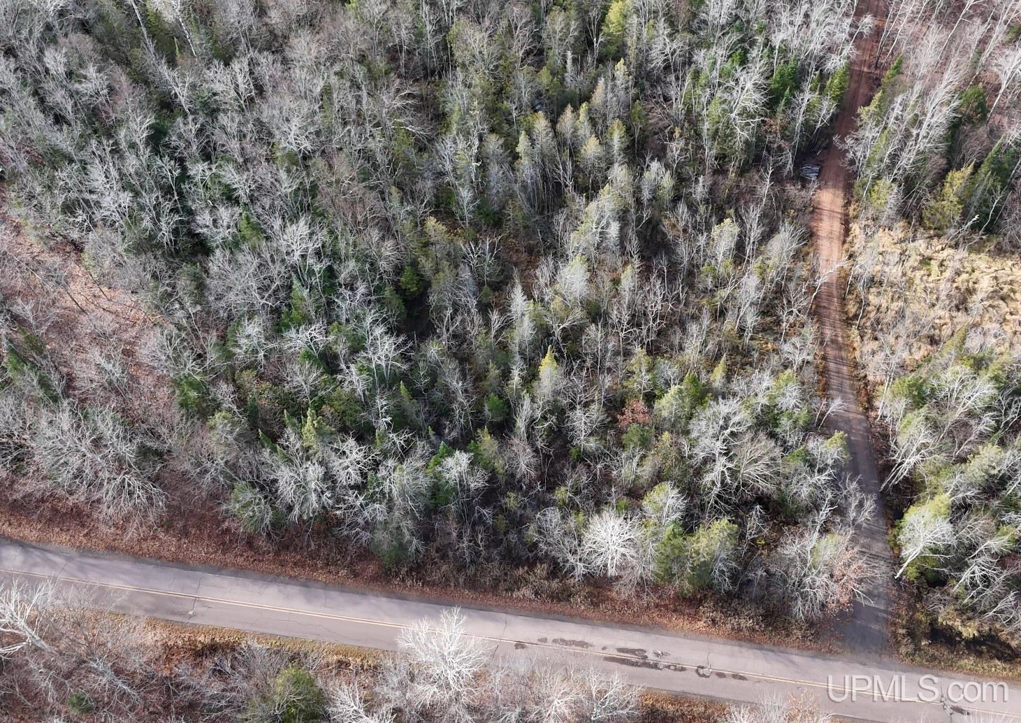 Tbd29 Rauhala Road Atlantic Mine, MI 49905 - Photo 5 of 19 Gallery Image 5