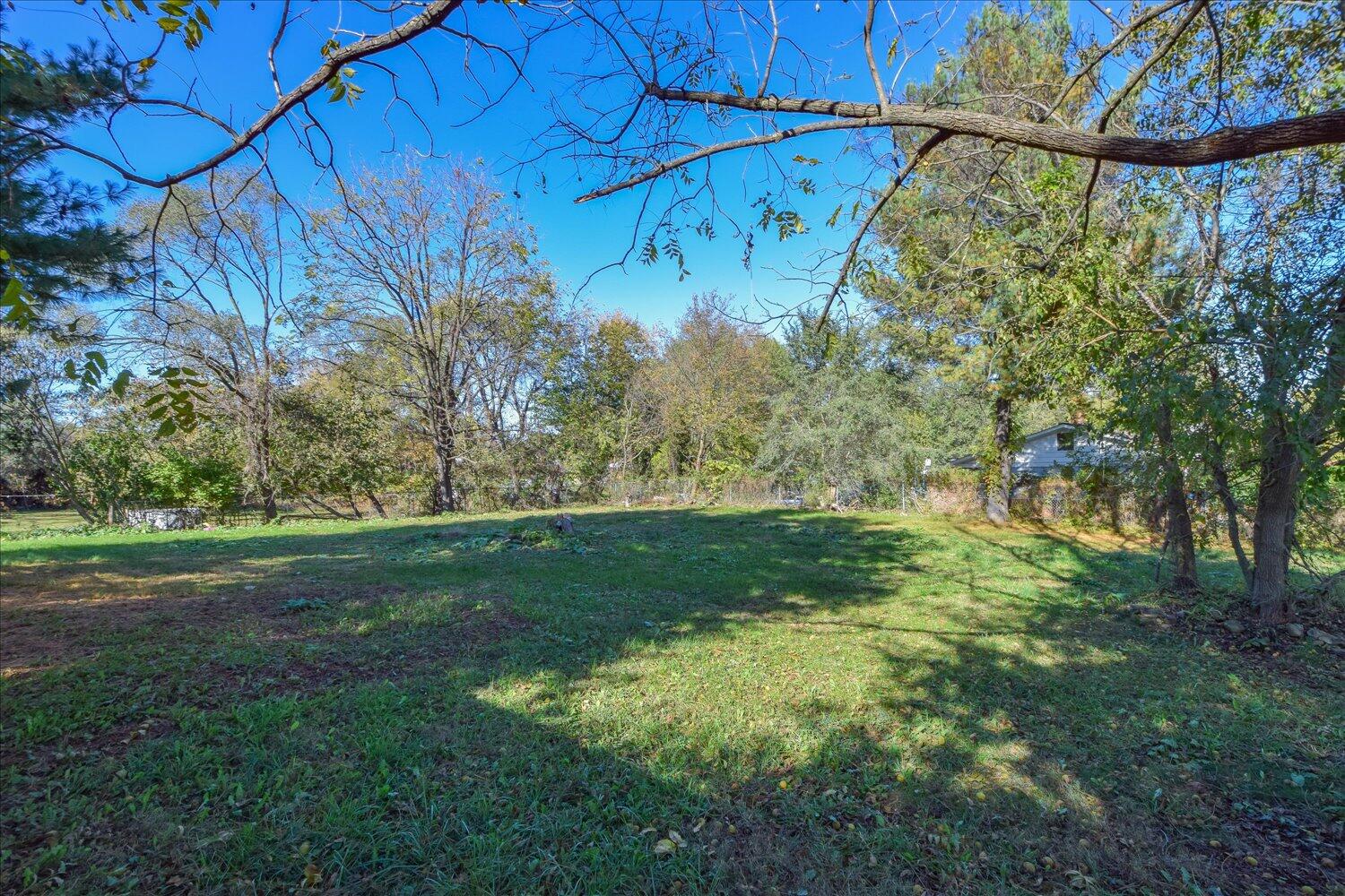 3703 Cove Road Roanoke, VA 24017 - Photo 24 of 27 a view of a yard with a tree
