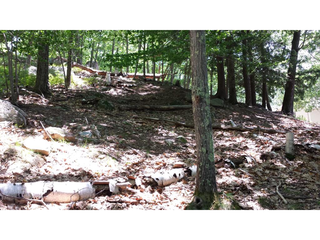 514 Rattlesnake Island Alton, NH 03810 - Photo 12 of 20 Gallery Image 12