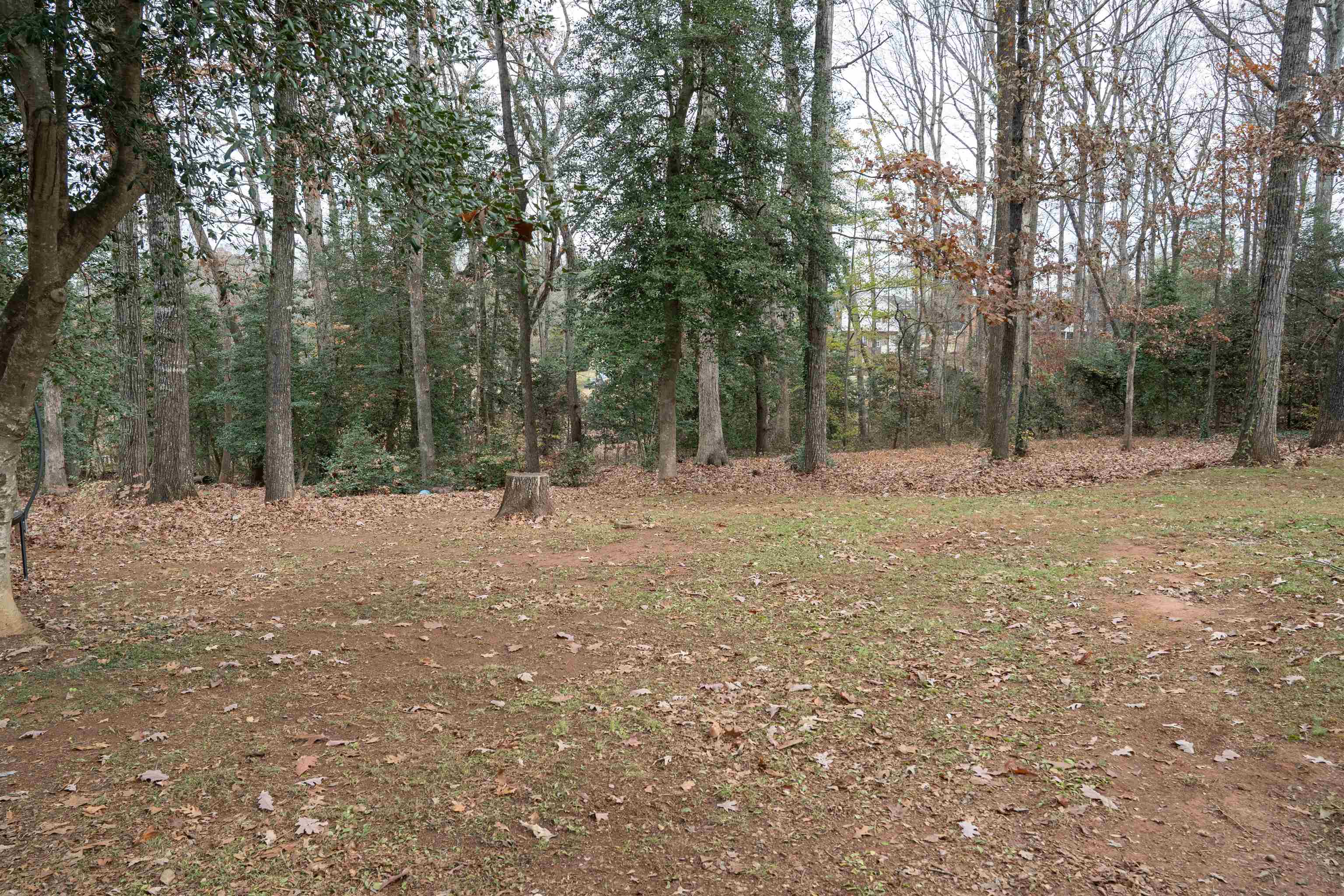 408 Lakewinds Boulevard Inman, SC 29349 - Photo 46 of 49 Gallery Image 46