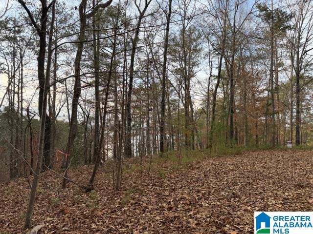 2 County Road 804, Unit 2 Wedowee, AL 36278 - Photo 6 of 6
